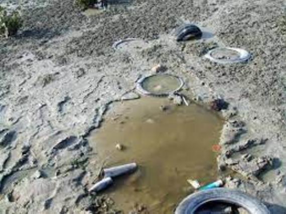 Large waterpoluttion