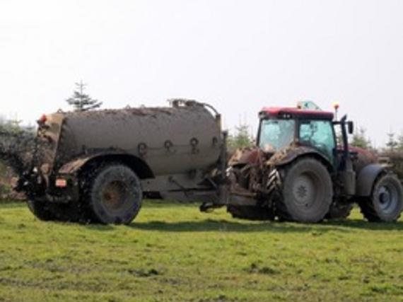 Large 1303058 960 720